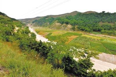 天水木门道:张郃殒命成三国千古迷案