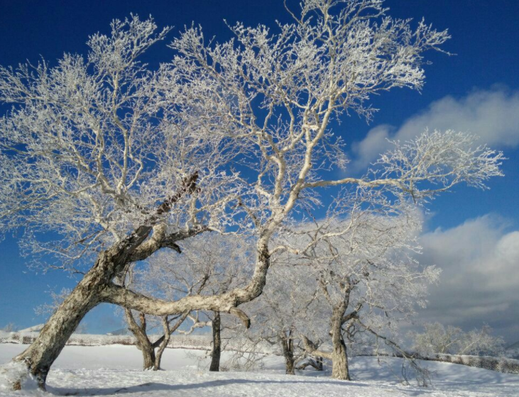 雪的世界——東北冬季旅遊必看的牡丹江市大禿頂子山雪景!