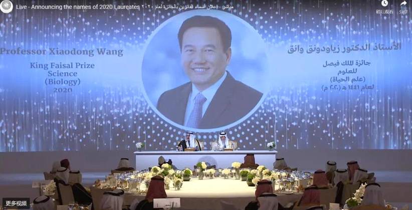 祝贺!华裔科学家王晓东获2020费萨尔国王科学奖