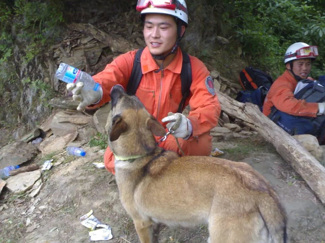 北京最后一只汶川地震功勋搜救犬离世,你的贡献,我们记得!