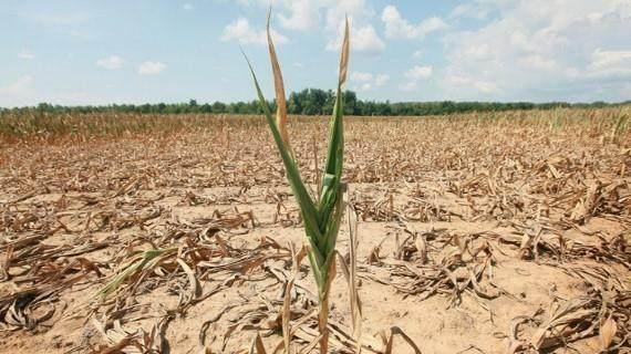 非洲农民为什么种不好庄稼?