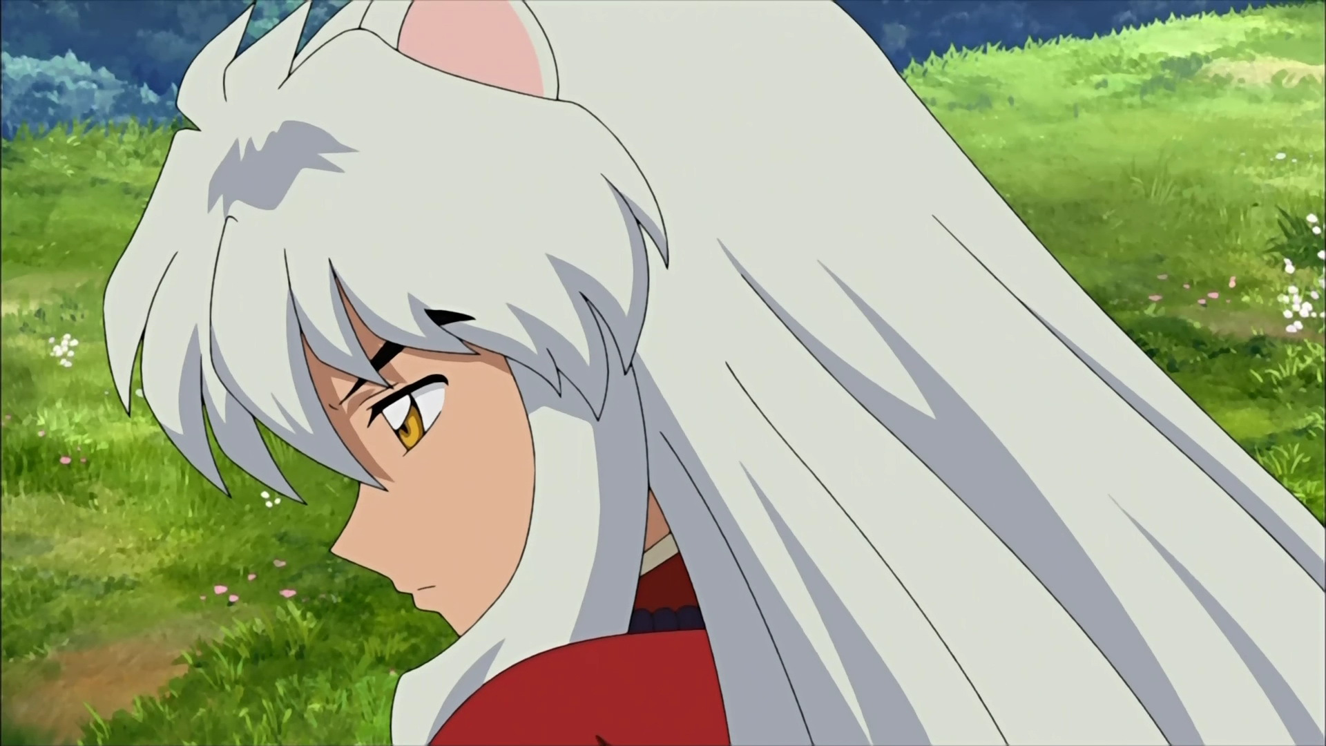 犬夜叉,是一个能为朋友两肋插刀,为爱人付出生命,纯真可爱而又从不服