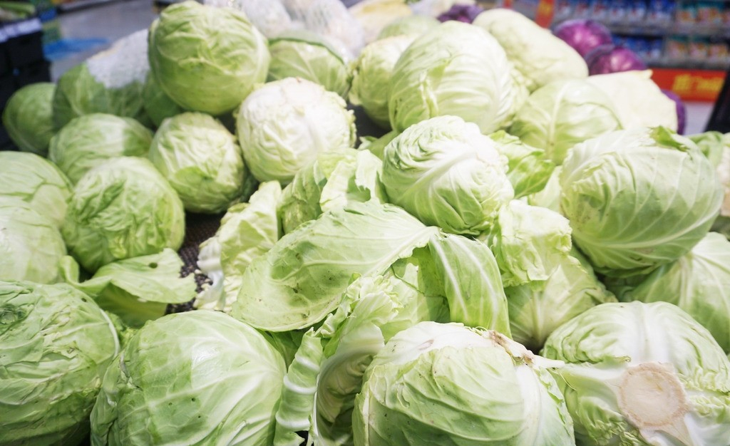 将准备好的包菜叶放入清水中洗干净,这里需要注意的是需要仔细一点