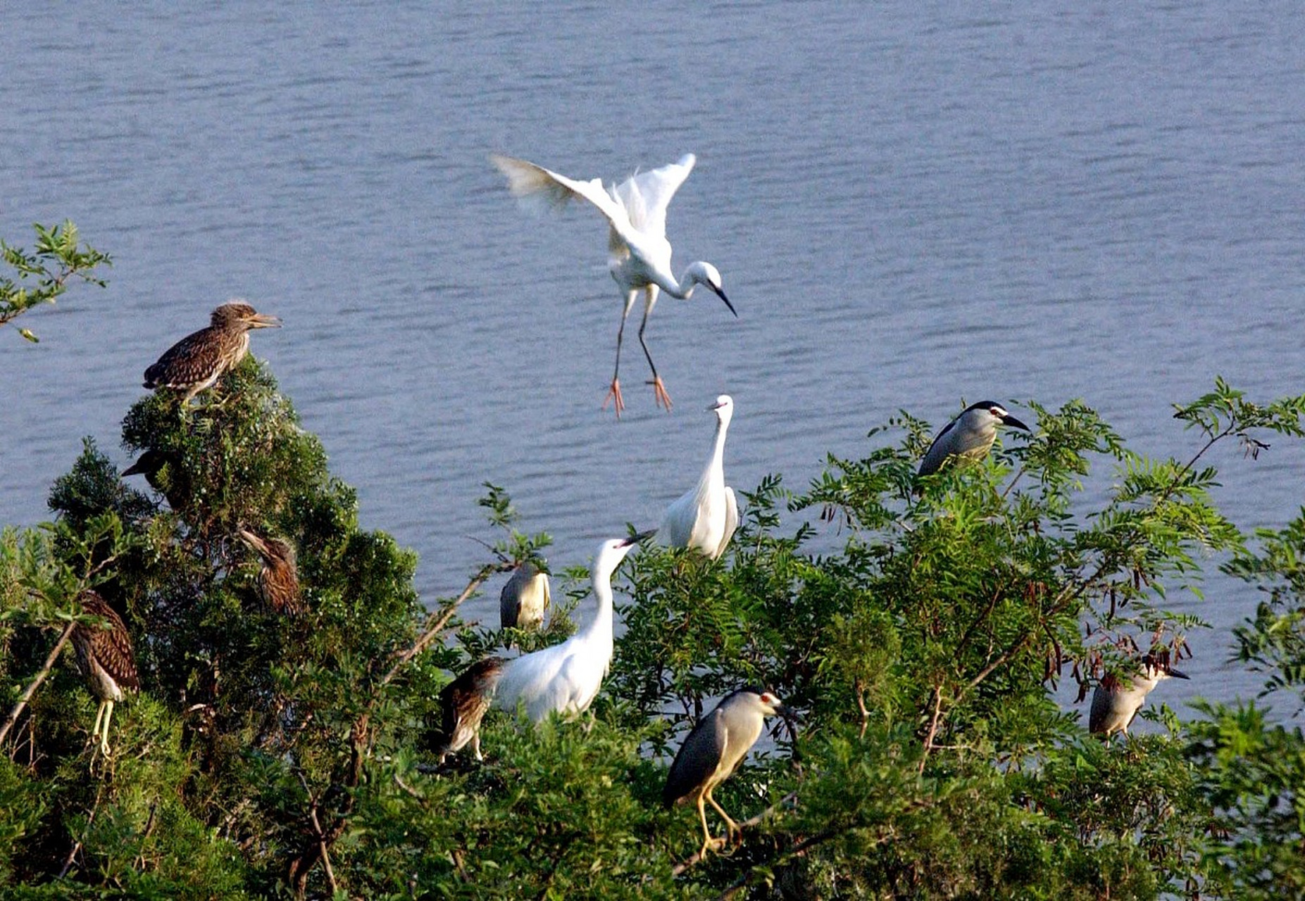 你可以乘坐游船游览黄河,感受河流的磅礴气势,同时欣赏到沿