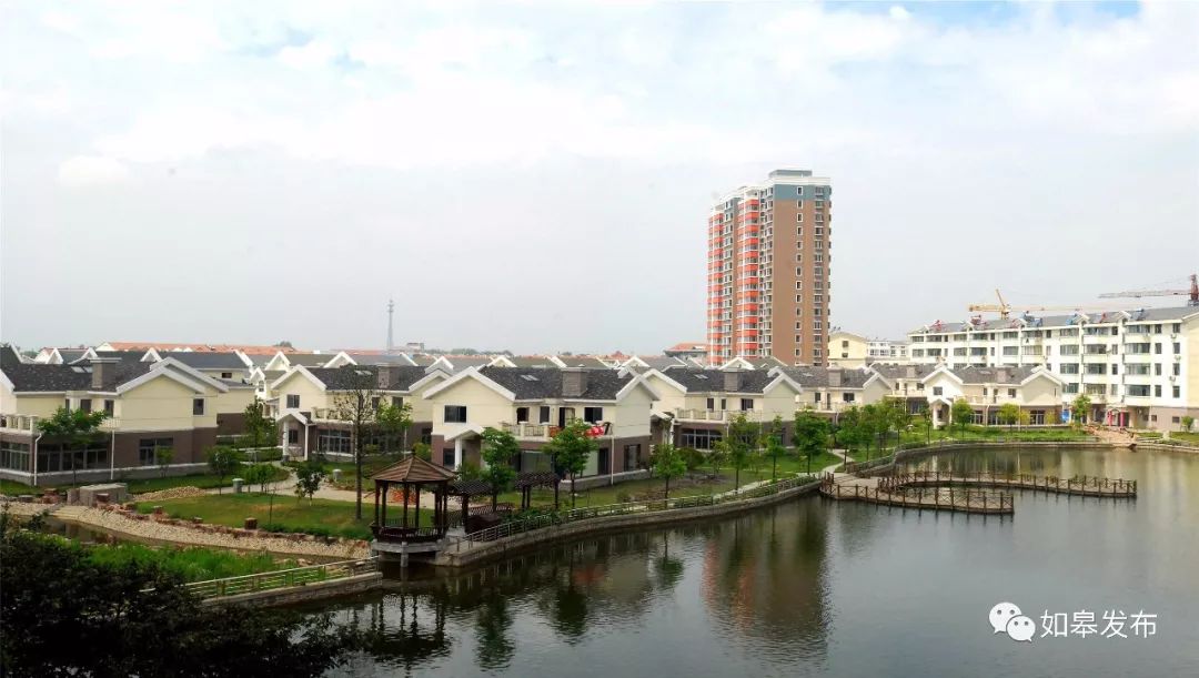 高质量发展在如皋|九华镇:发挥枢纽优势,凝聚发展力量!