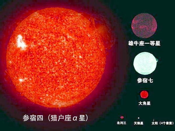 网友问:在未来的几万年中,人类会上演恐龙灭绝的悲剧吗?