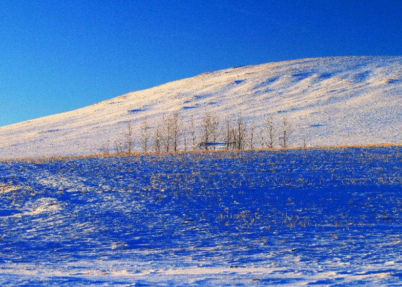 呼伦贝尔雪景风光