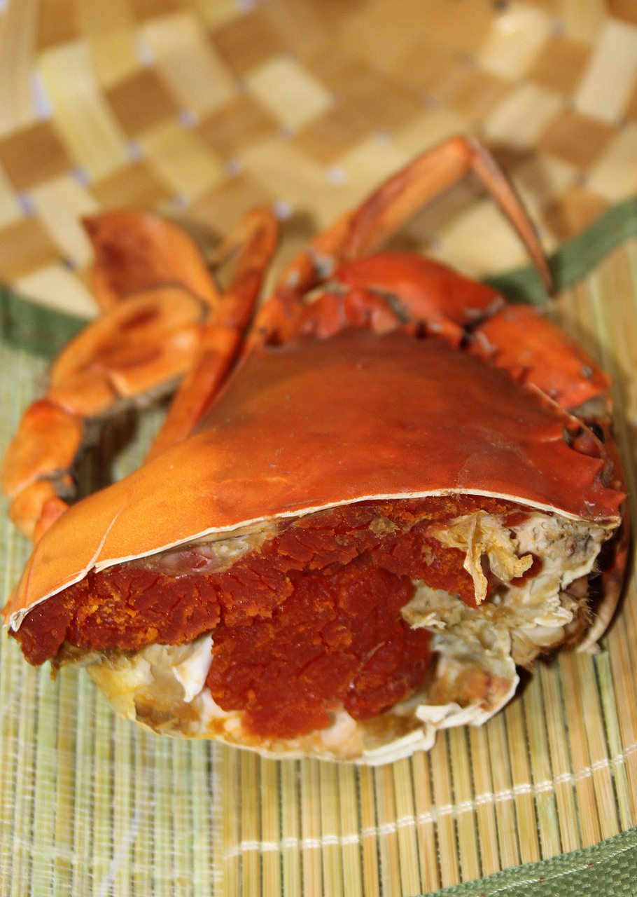 黄油蟹是一种产自中国台湾的特有品种,因为其肉质鲜美,口感独特,备受