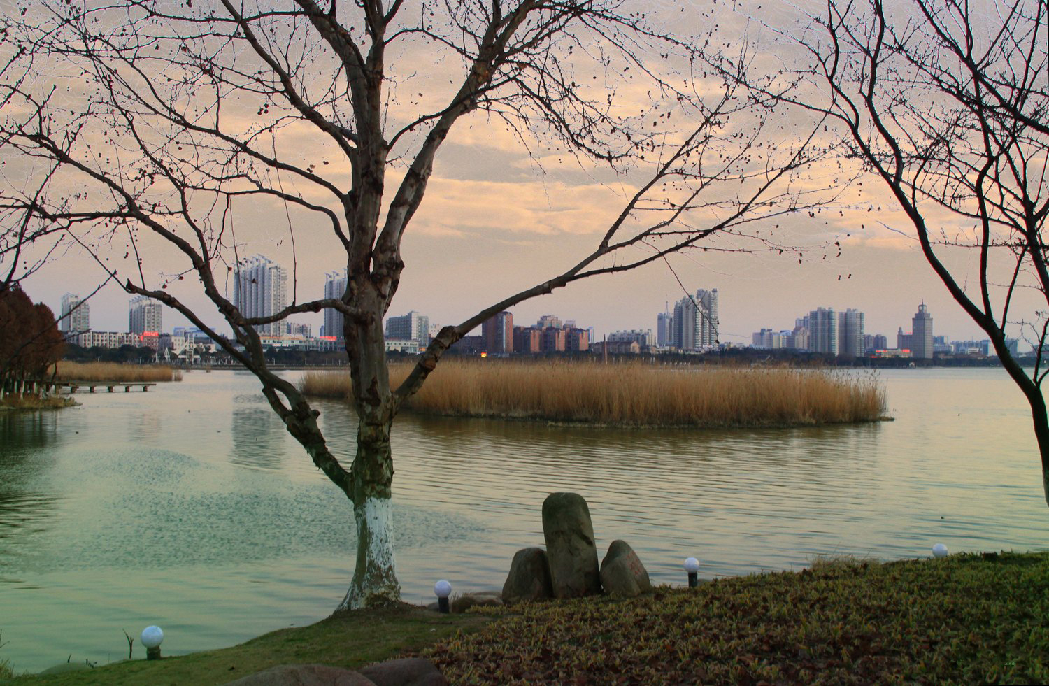 团氿湿地公园风景实拍