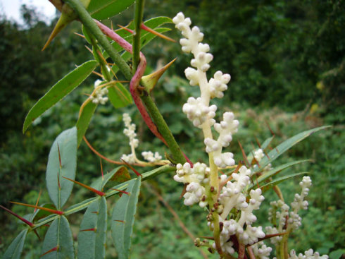 求锤得锤,小说版李雨桐,打遍渣男无敌手