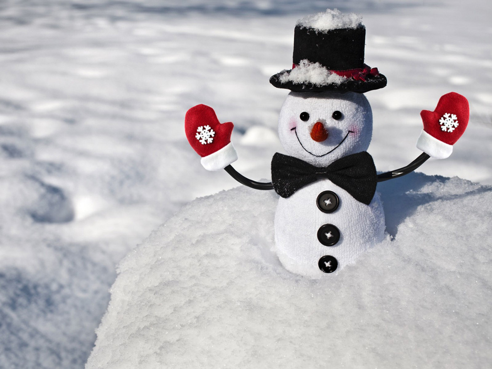 三大星座:心之所向,素履以往,生如逆旅,一苇以航