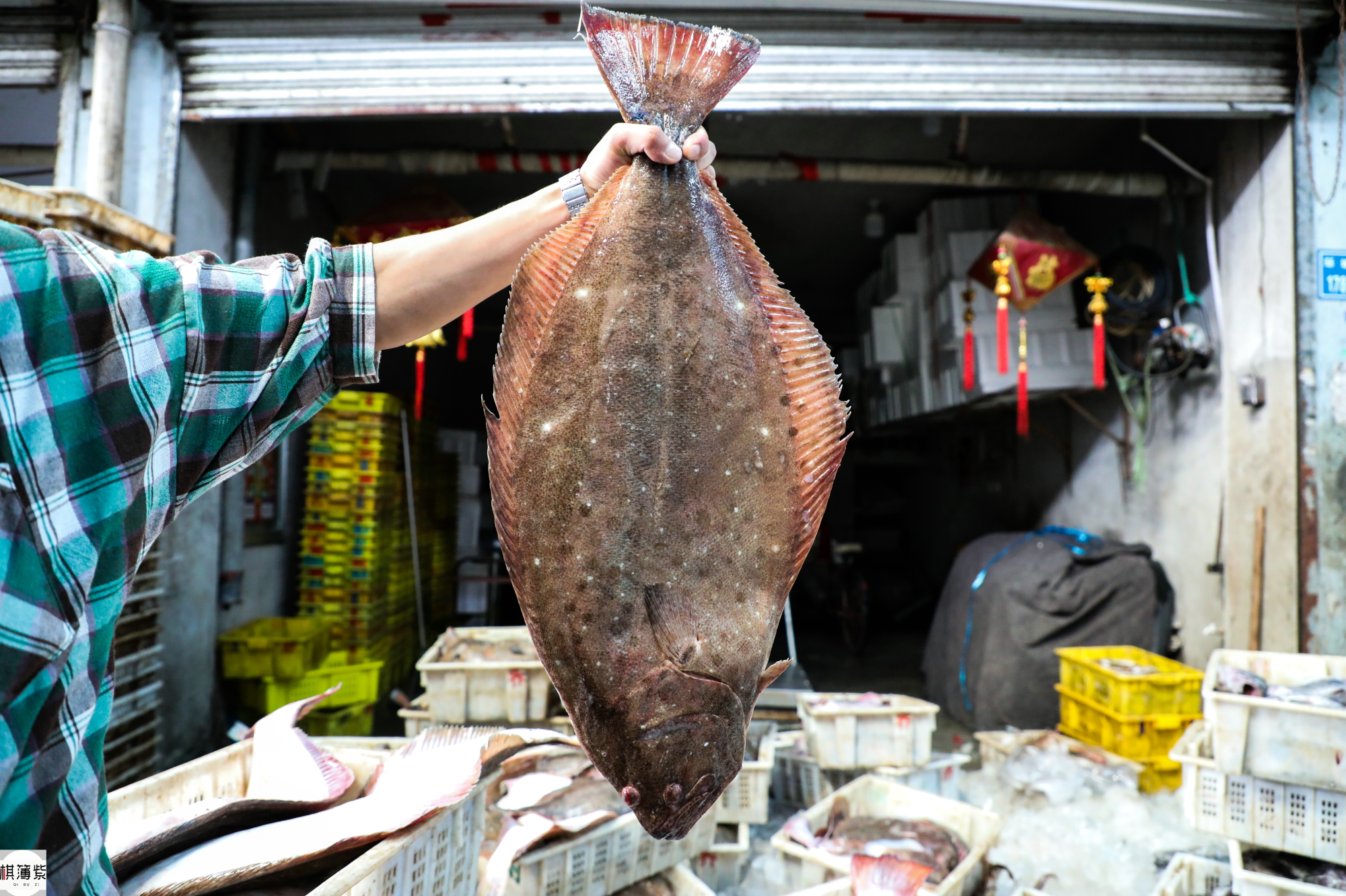一位商户拎起一条10多斤重的牙鲆鱼,"来,拍个照,给我的大牙鲆鱼代个言