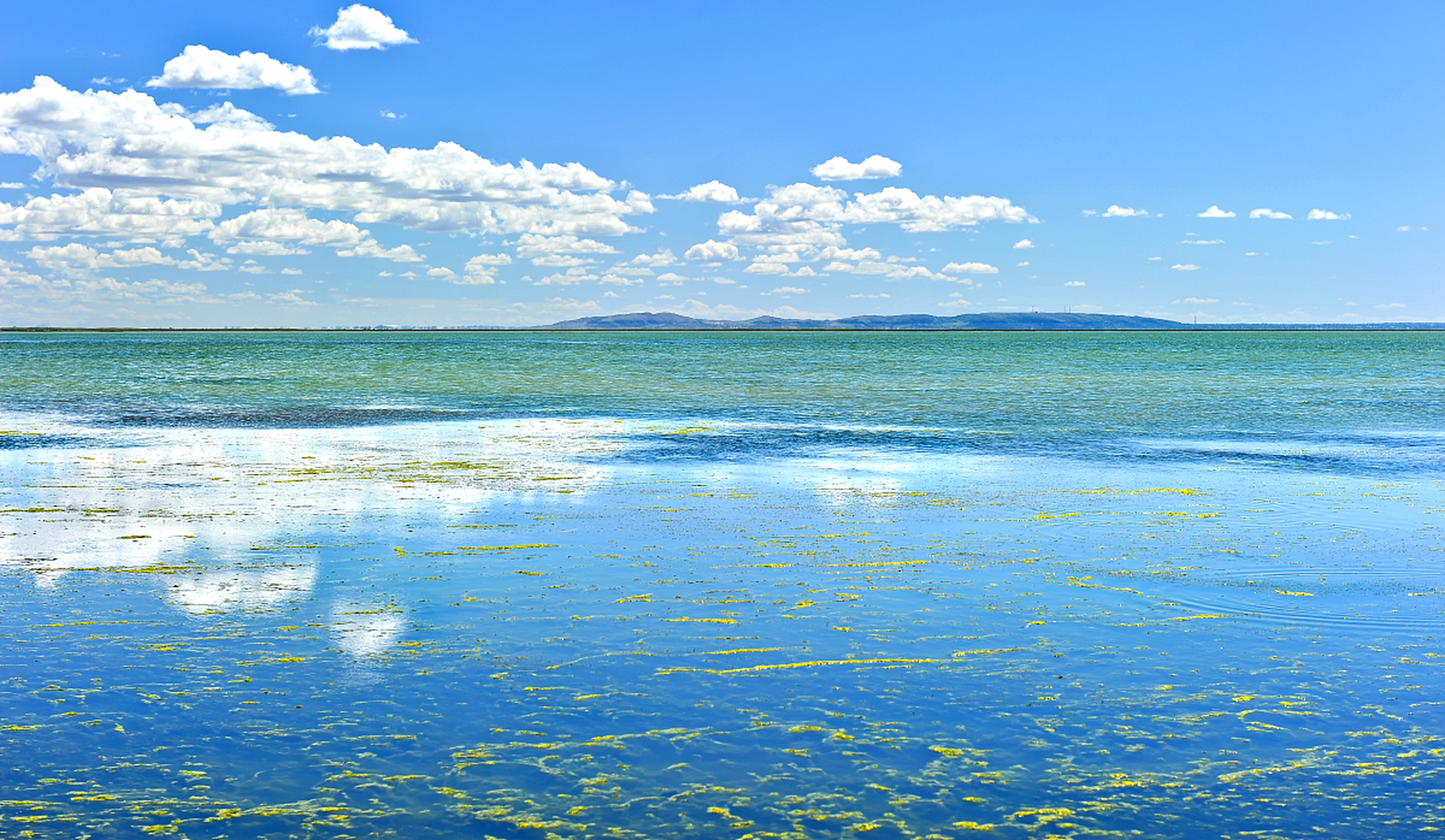 是内蒙古赤峰市克什克腾旗境内达里湖华子鱼洄游的季节