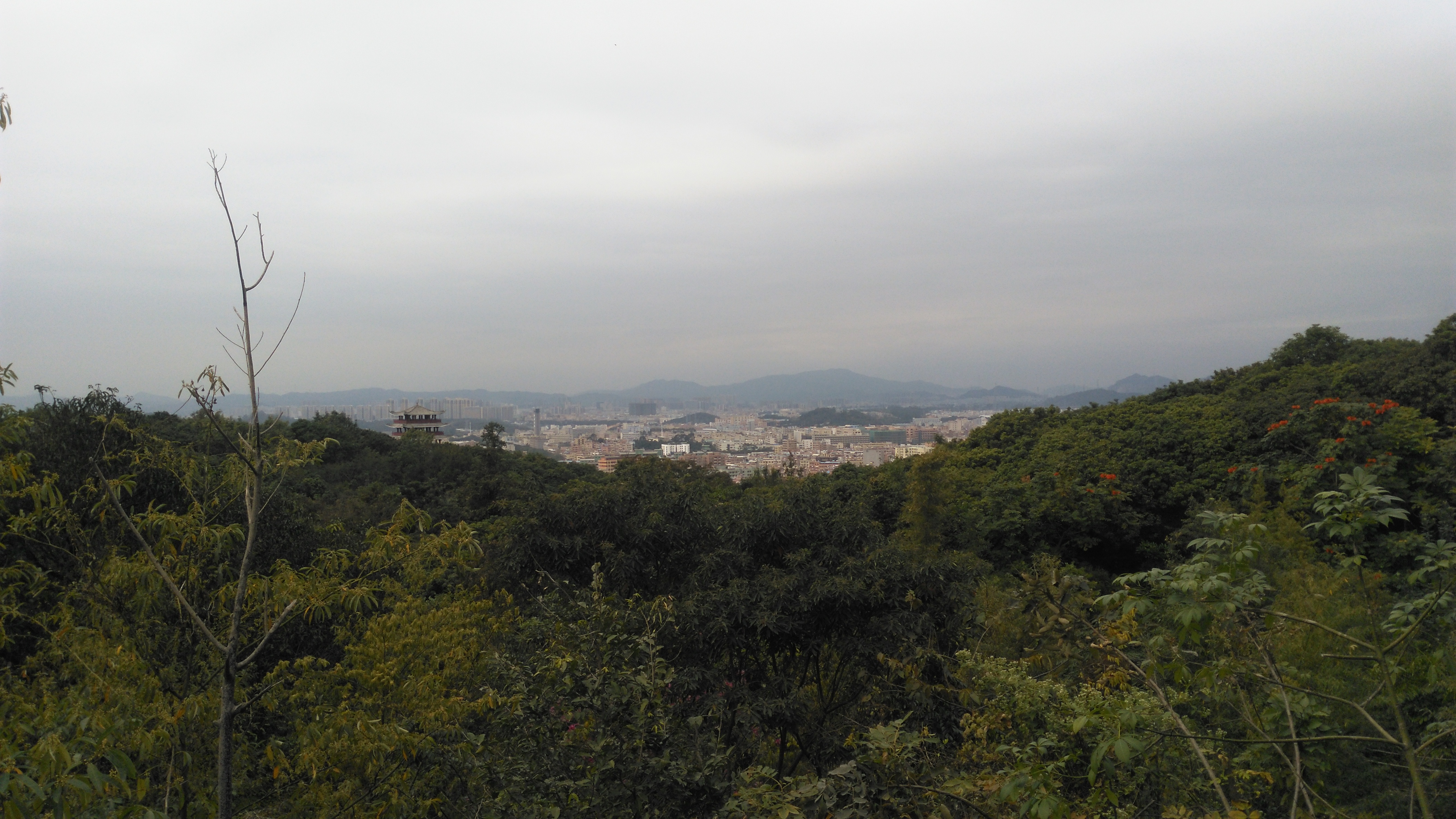 東莞清溪大王山森林公園你去過嗎?帶你們爬山去啦