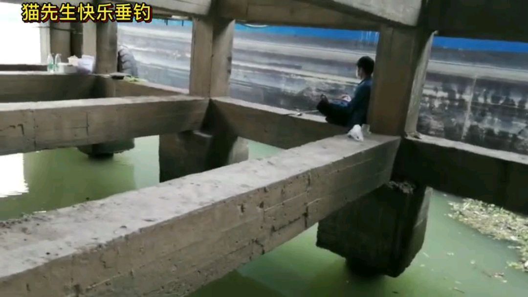 江边码头筏钓鲤鱼,惊险又刺激,偶遇佛性钓友