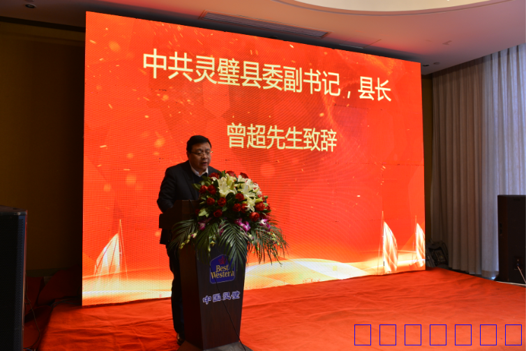 首届灵璧发展论坛安徽灵璧隆重举行