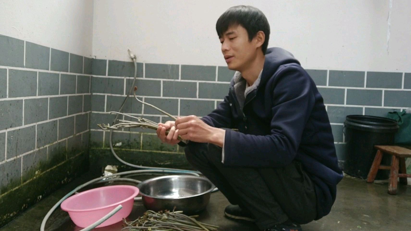 都说蕨菜有毒,怎样处理蕨菜才健康美味呢?看小伙怎样操作的?