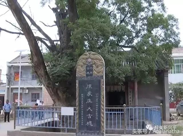 兴平潘村老虎庙还有这么一段感人的故事