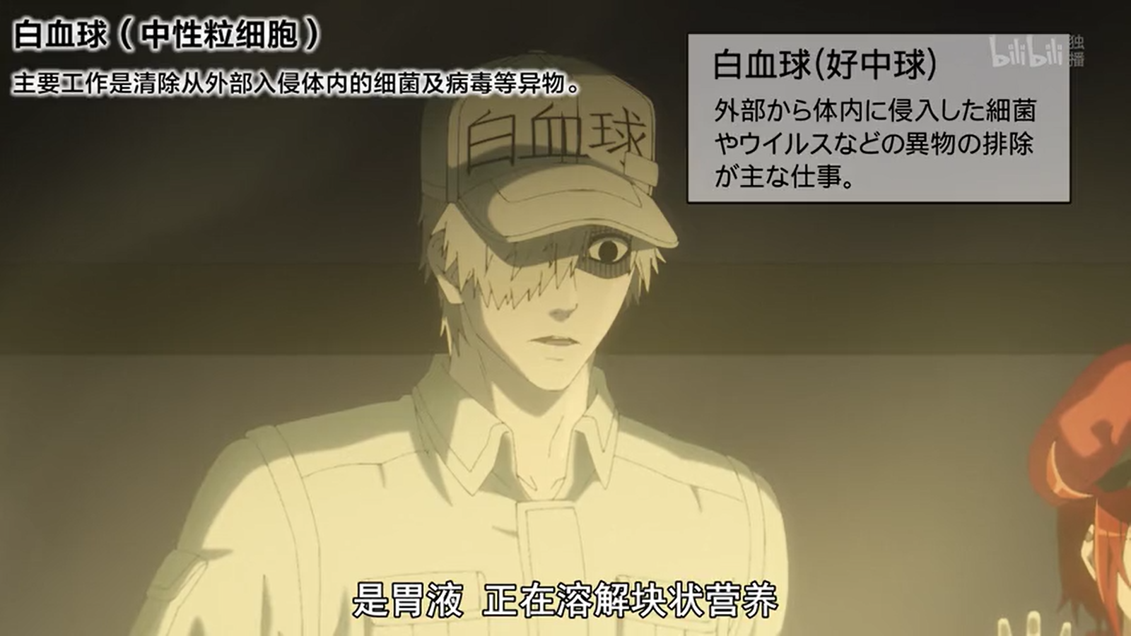 工作细胞:人体细胞科普漫,中二好笑还涨知识!