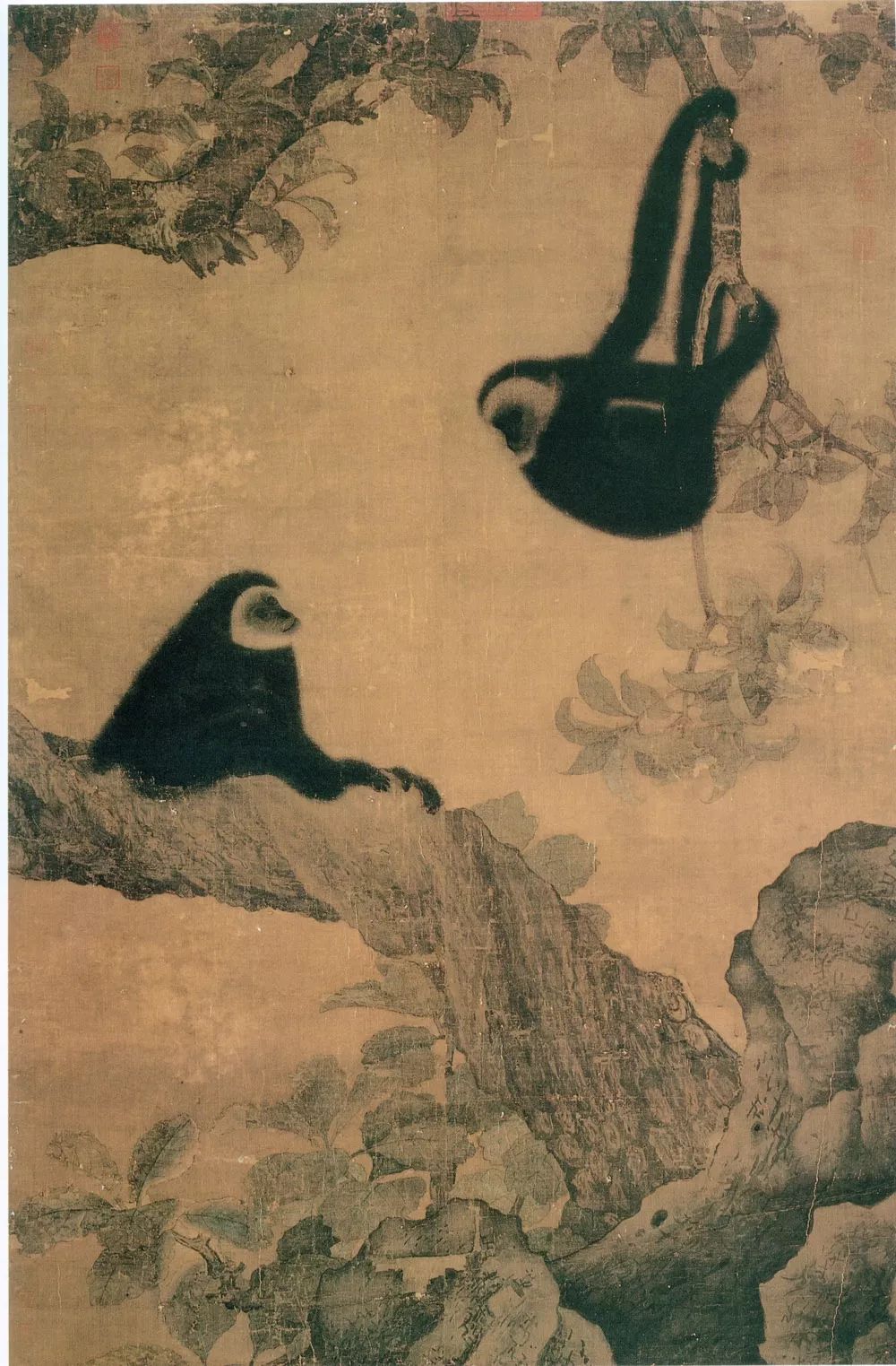 长臂猿:听说我创造了人类的世界?