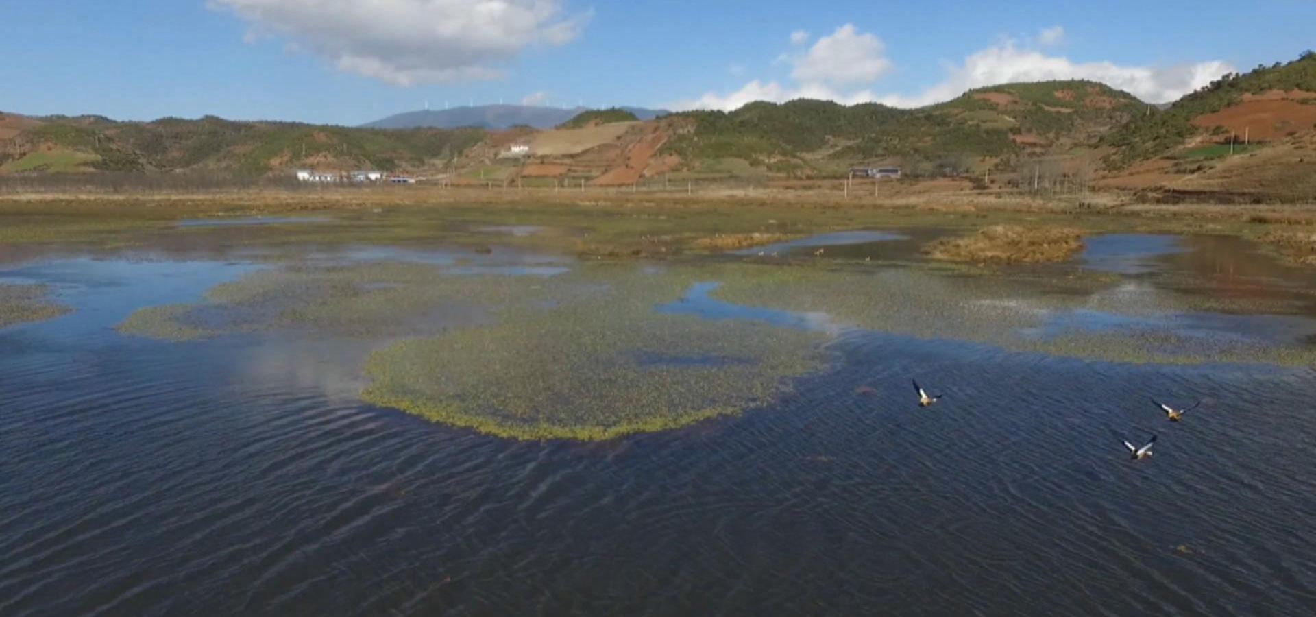 乐安湿地,感受这里的景色,相信你会喜欢的!