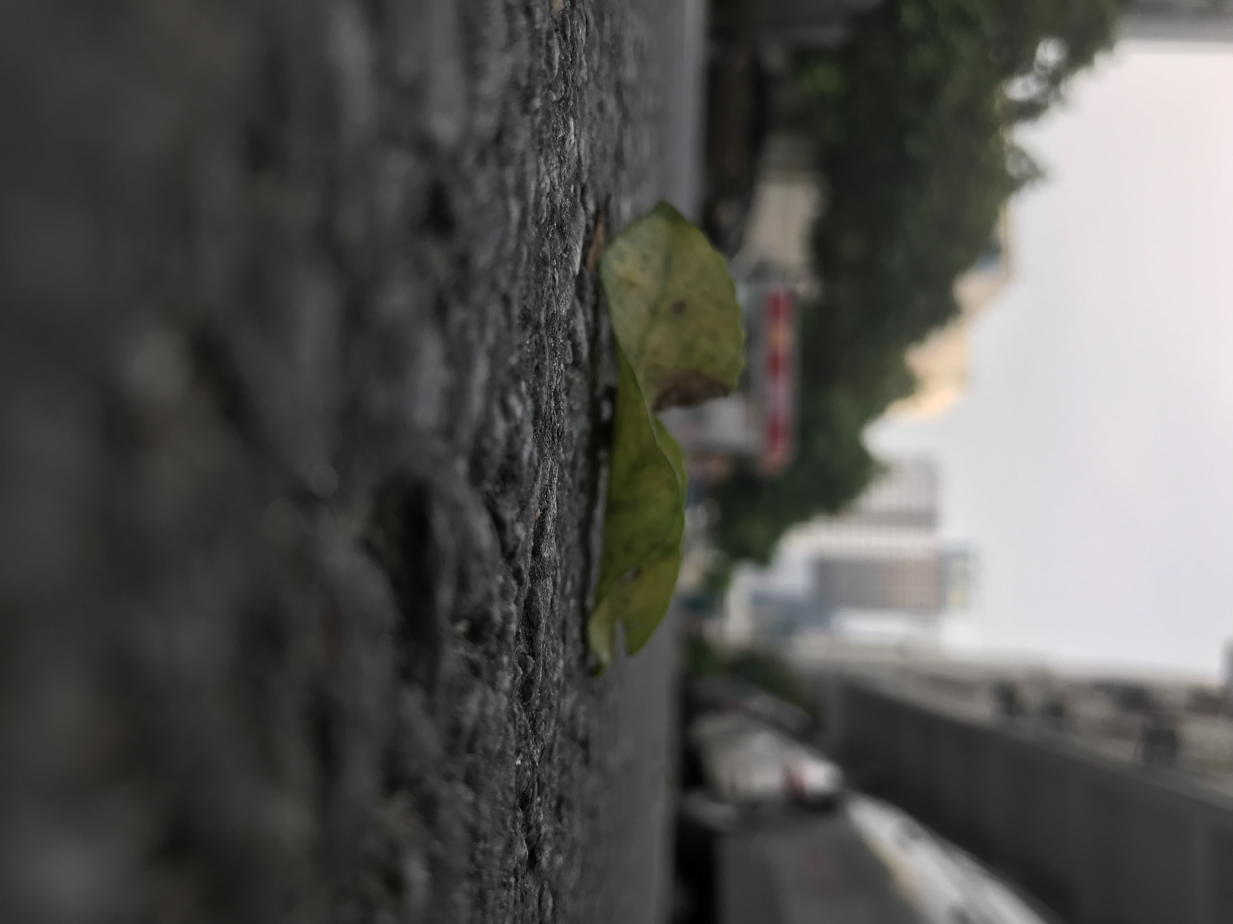 致远方漂泊的你,不负自已