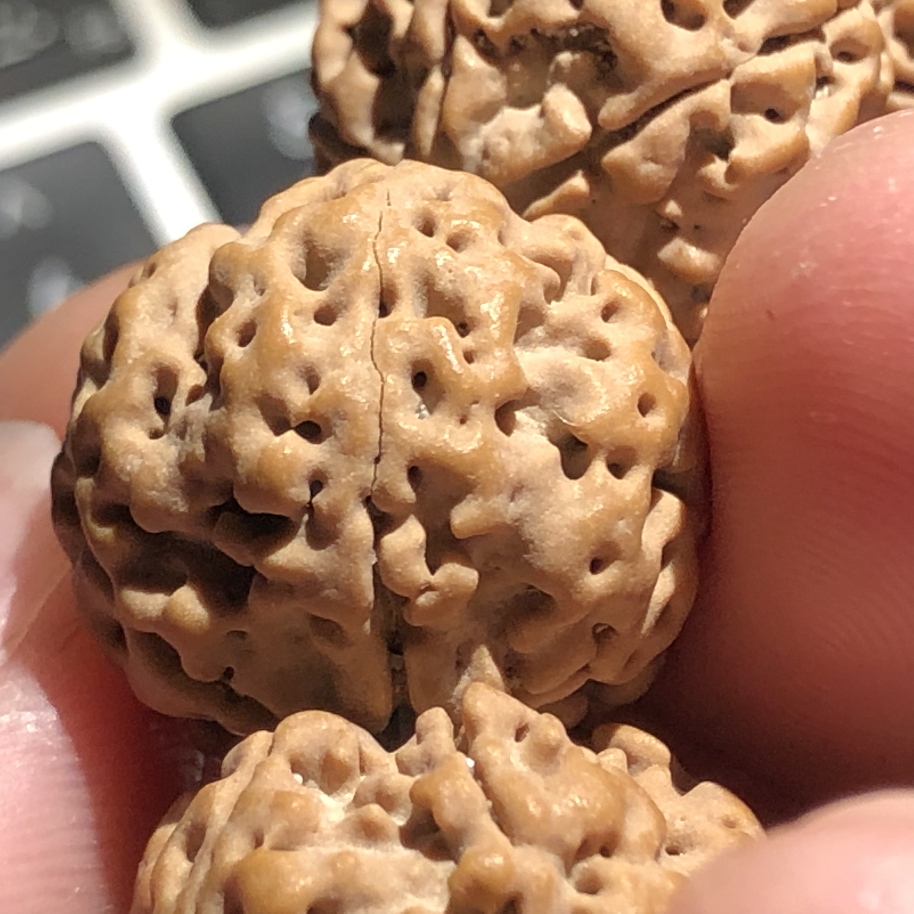 足够霸气有面子,18年顶级蜂王金刚菩提子!