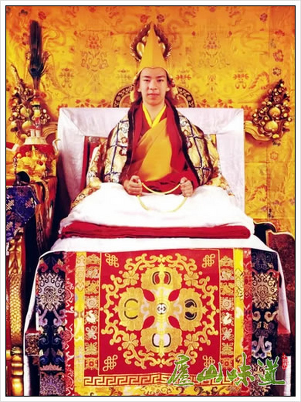 作者学院# 「第十一世班禅继续在庐山考察」2006年4月16日,第十一世