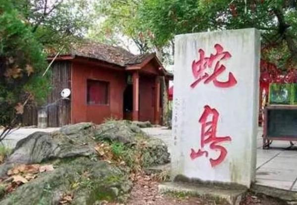 中国蛇岛:生活着2万条左右的蝮蛇,一般人都不敢上去