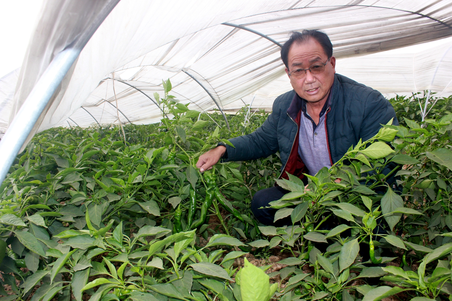 处,东有洛河水绕境,与大荔县冯村乡对岸相望,西接党睦镇,北靠龙阳镇