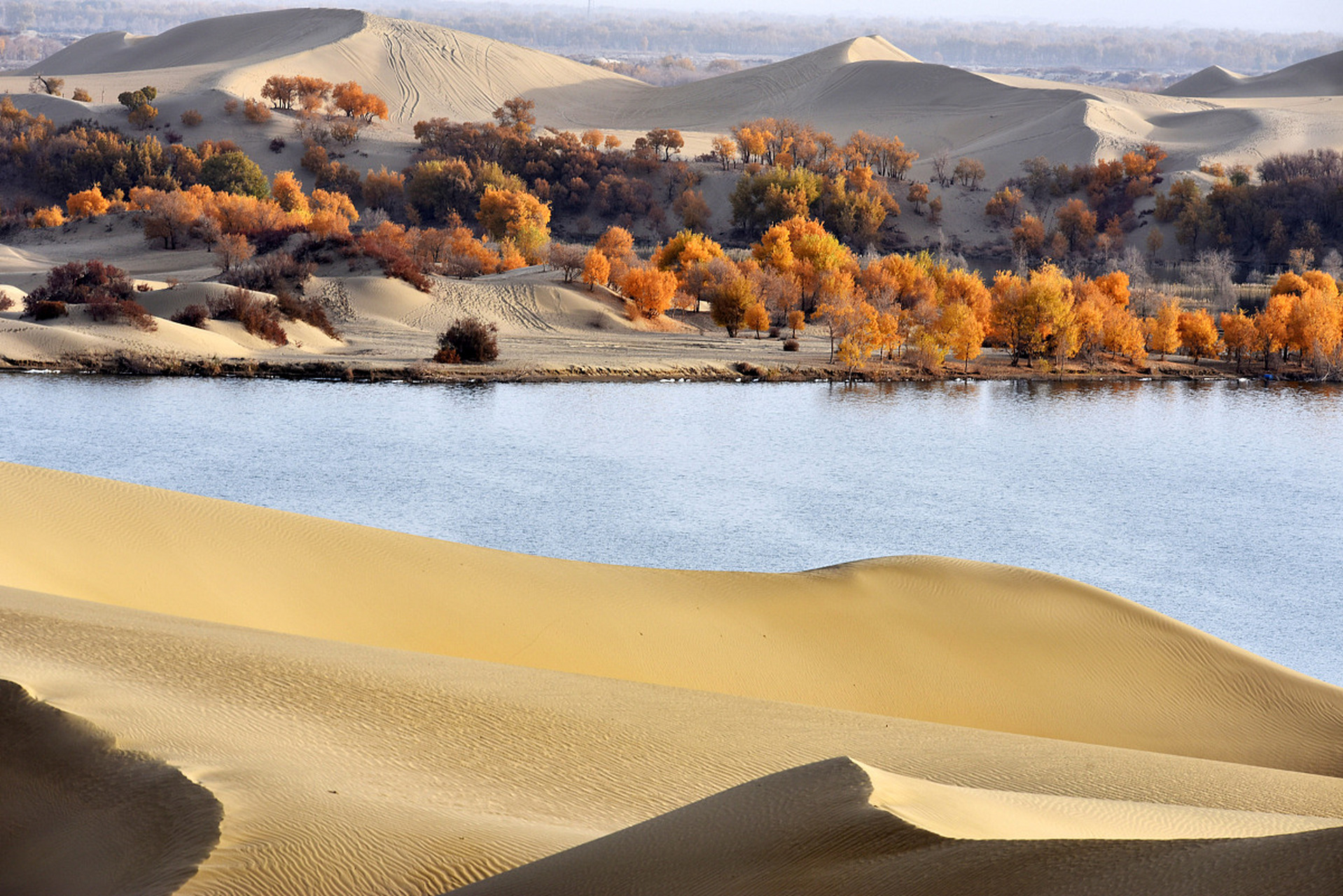 江南大漠,位于湖南省临湘市,是一处独特的自然景观.