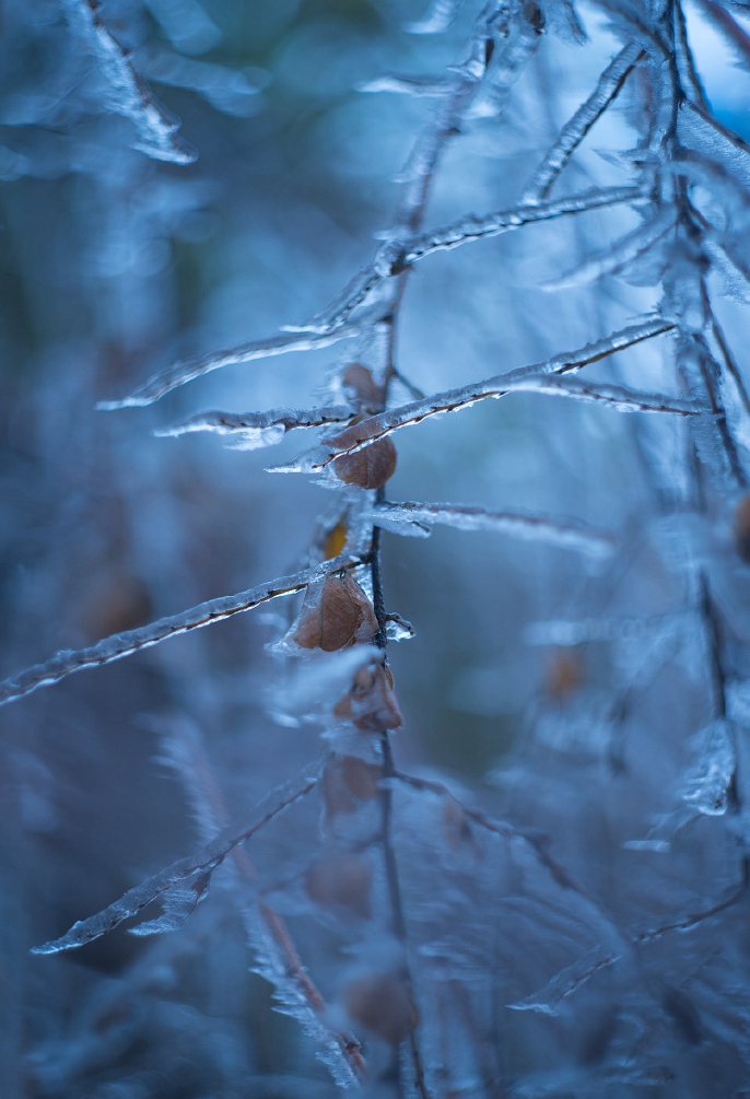 冰雪美景集结,9日开始江西雨雪冻雨齐上阵,最低气温达零下八度