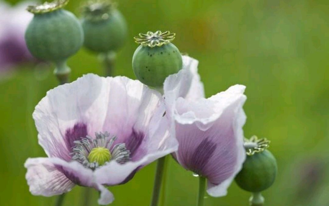 凡事一笑而过,笑对他人时,你会发现你是那么的阳光美丽