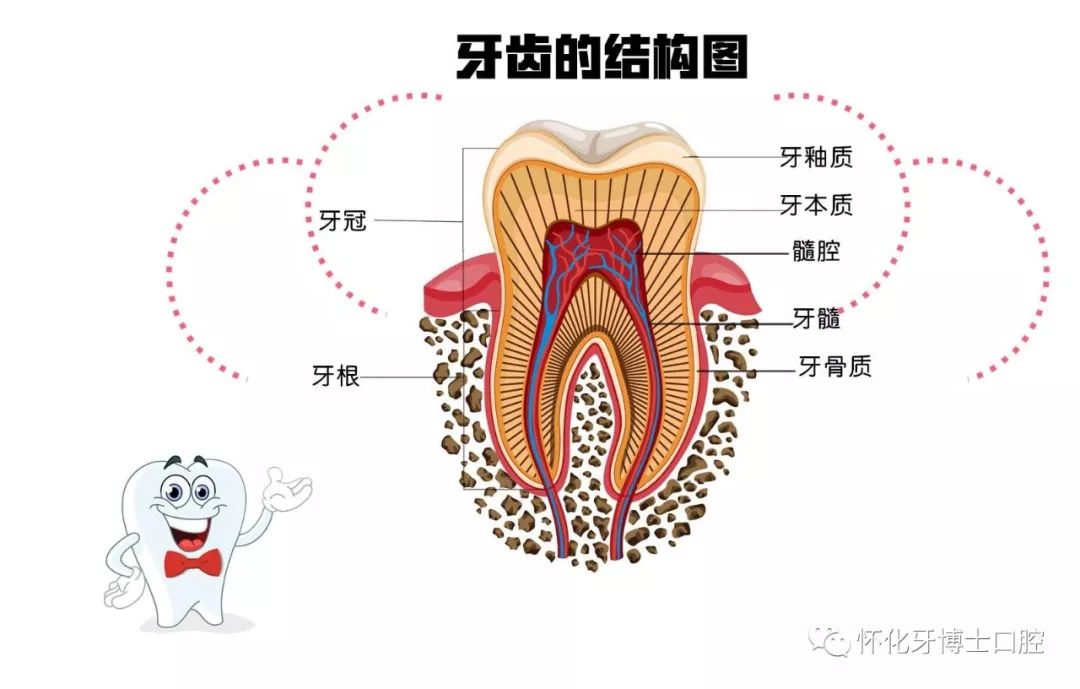 牙周病不是简单的口腔卫生问题