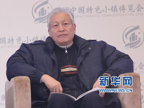 李兵弟:特色小镇的核心本质是制度环境