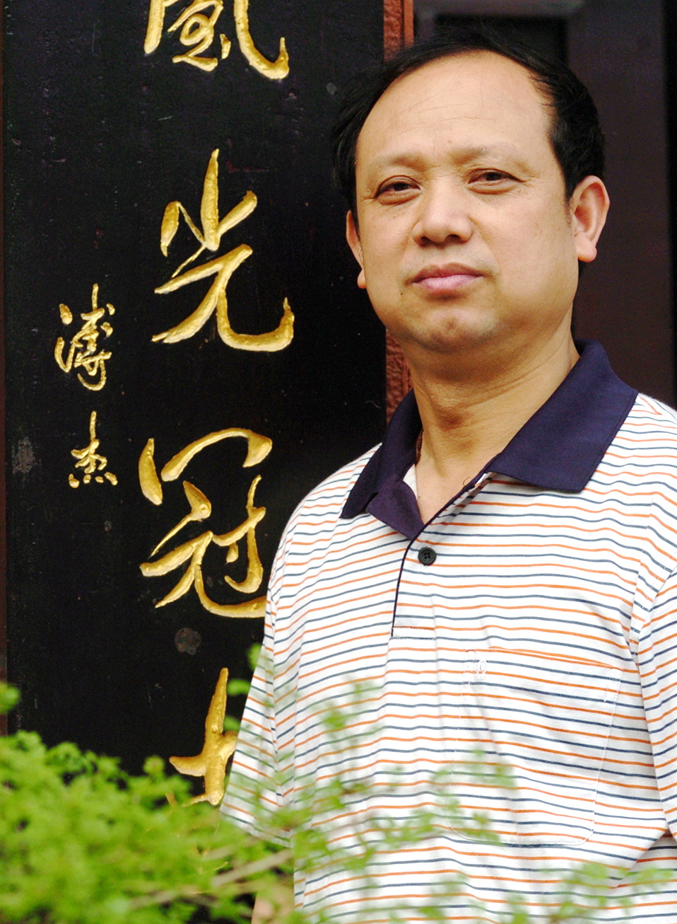 钟义参草根艺术之二