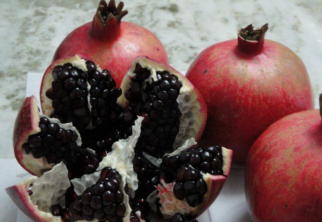 五种黑色水果,大多数只见过两种,吃过三种以上不是有矿就是吃货