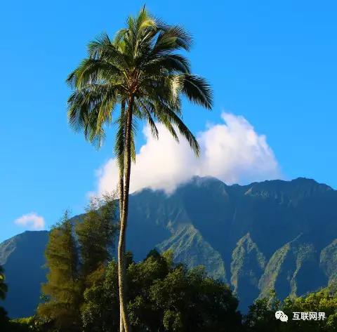 招财聚财的微信吉利头像,喜欢就拿去用吧!