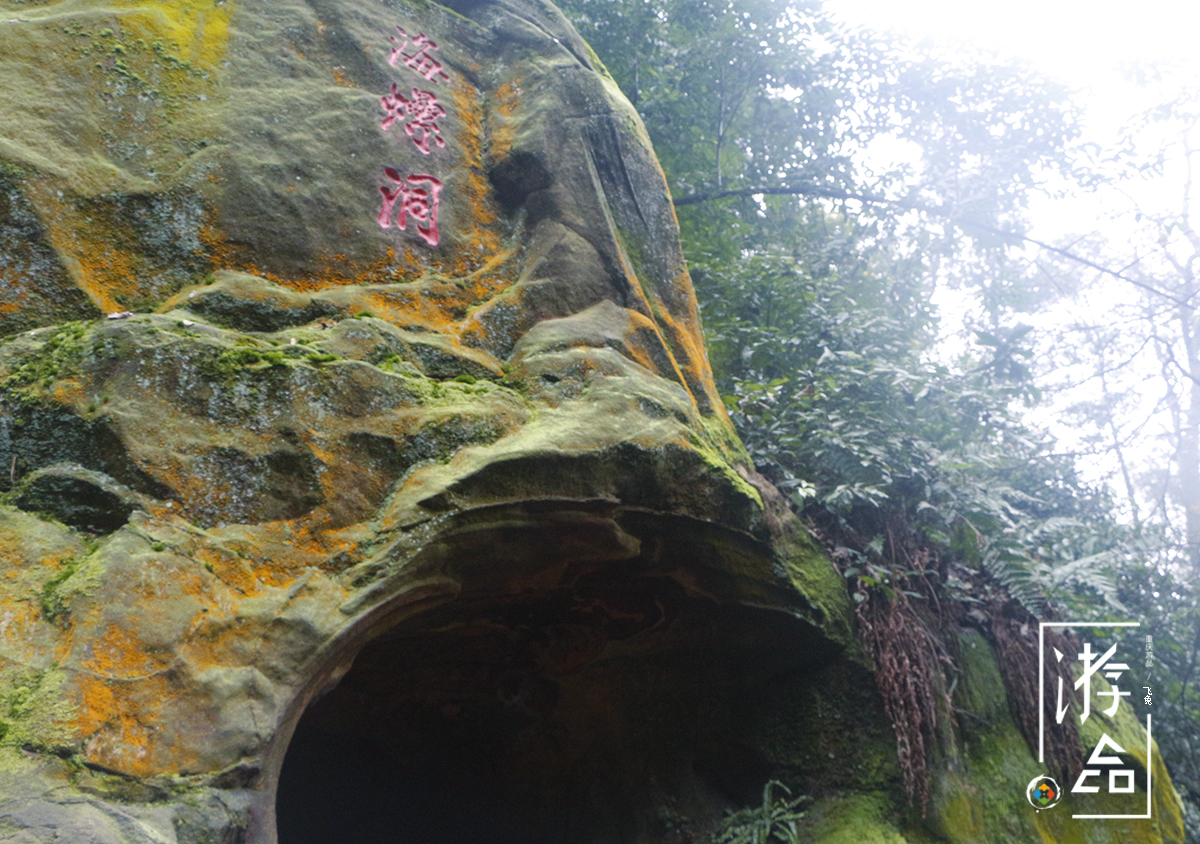 重庆缙云山上一神奇洞穴发出奇怪声响,好心人阴差阳错发现真相