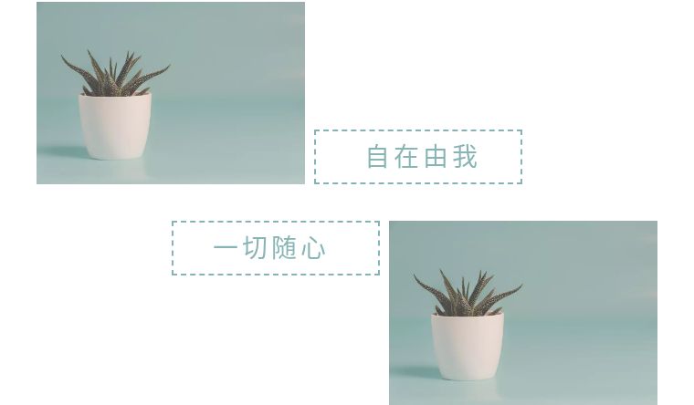 为什么喜欢我