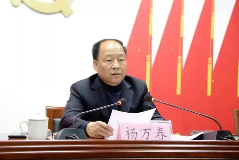新区管委会主任杨万春到马头镇宣讲党的十九届四中全会精神