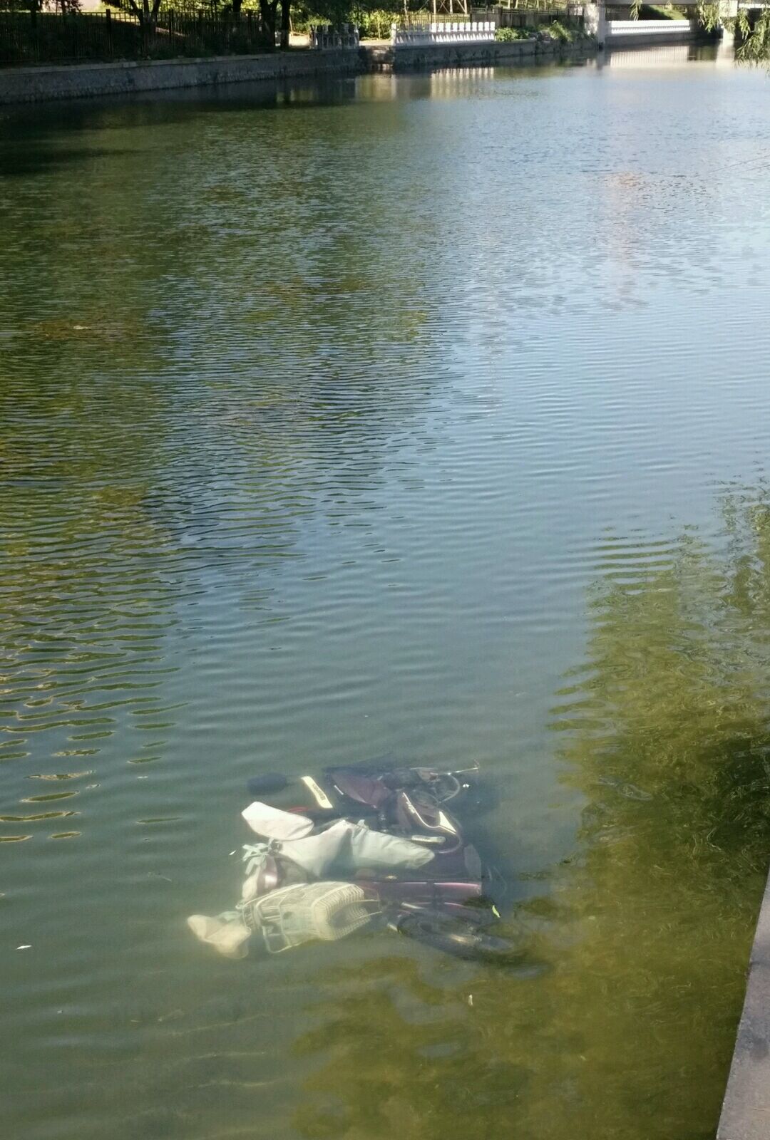 看钓鱼没注意电动车掉河里了,这下赔大了,电动车还能用吗?