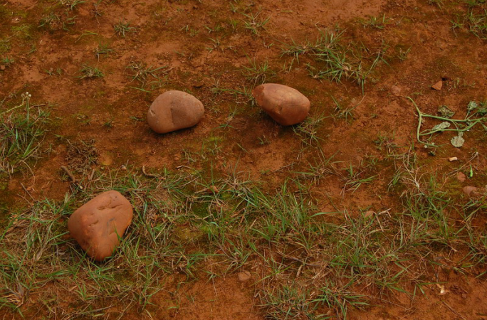 石头头 - 热门商品专区