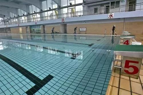 11月18日起体育中心游泳馆闭馆140天,九山游泳馆同日开放