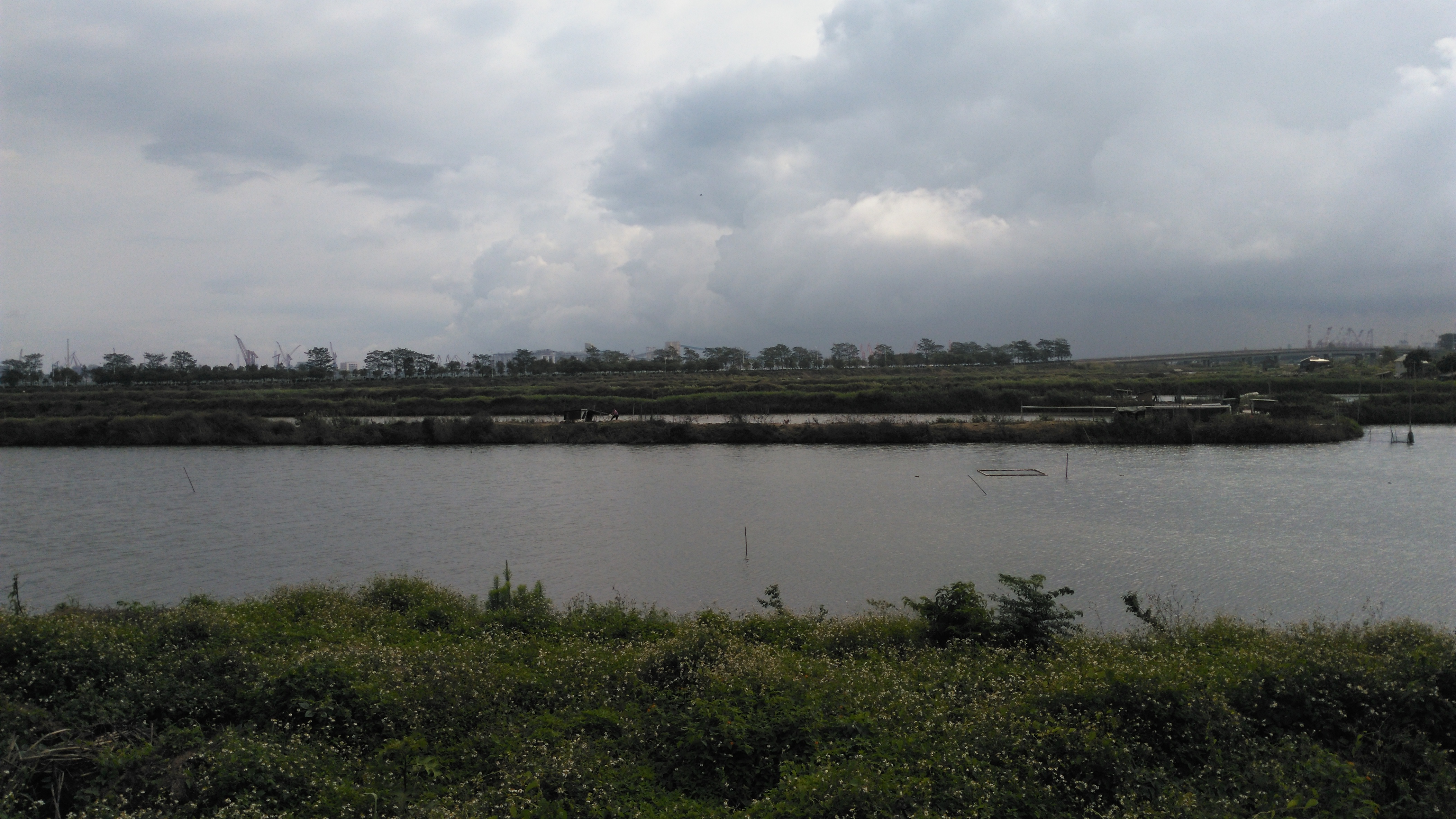 江坝的后边,是一片片围堵起来的鱼塘.