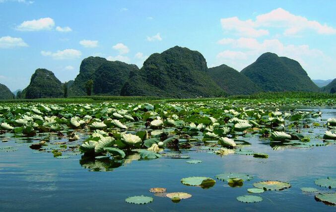 普者黑,99%的人不知道的旅遊勝地