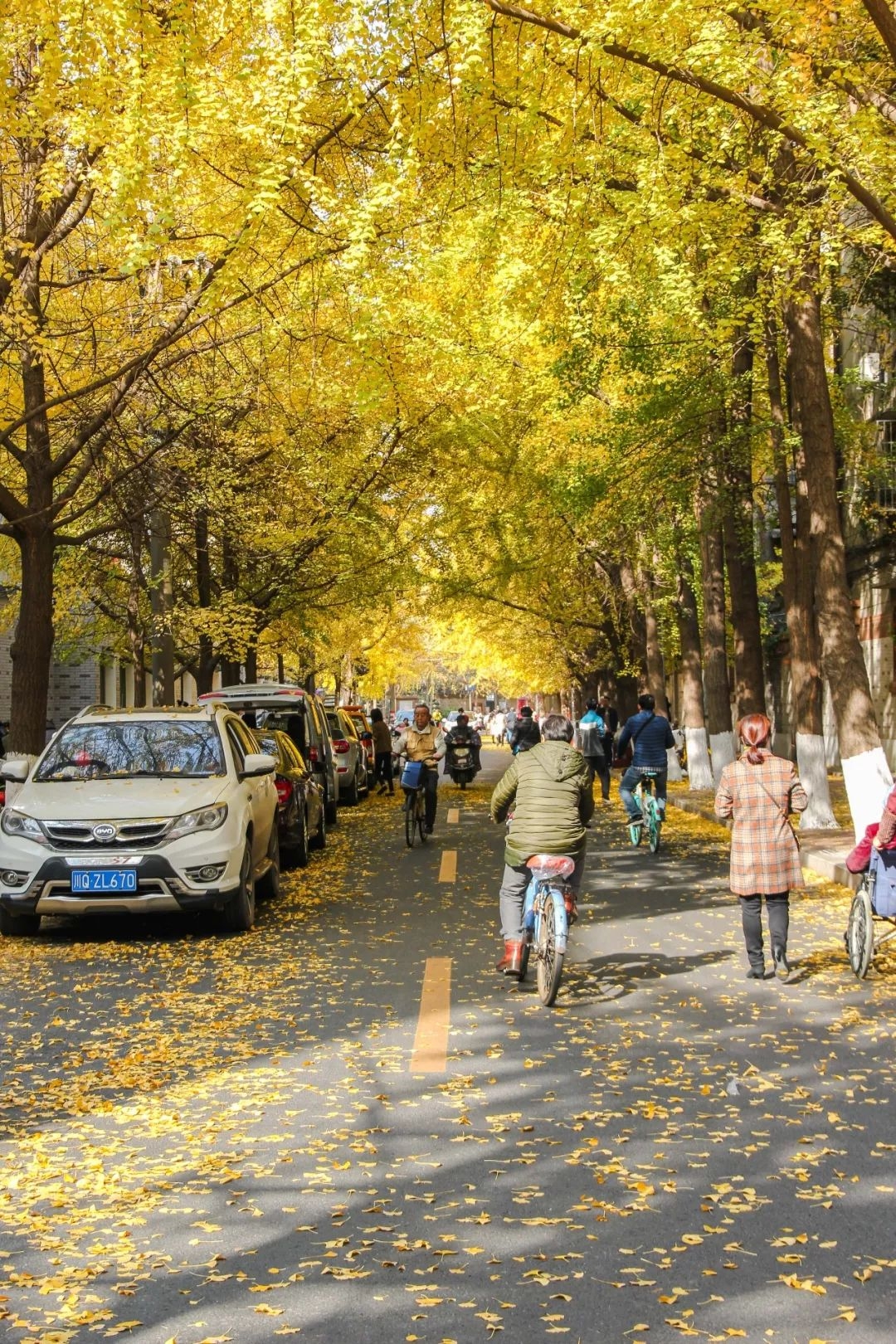 在成都住在白果林最幸福