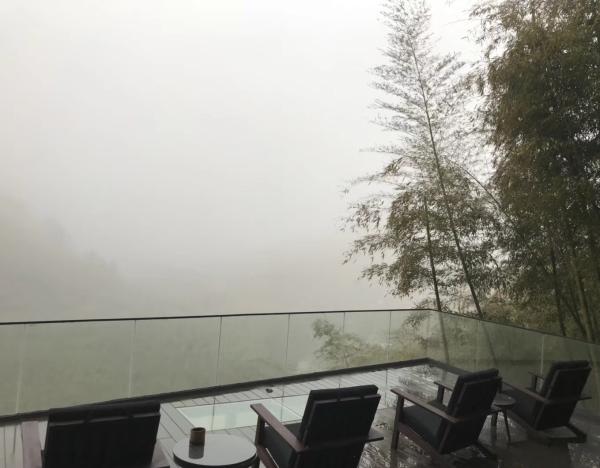艺术过新年|乡土建设②|难以辨别的莫干山"洋家乐"与民宿