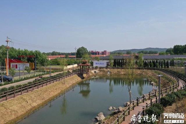 日照两城街道全面提升农村人居环境质量,点亮农村"颜值"