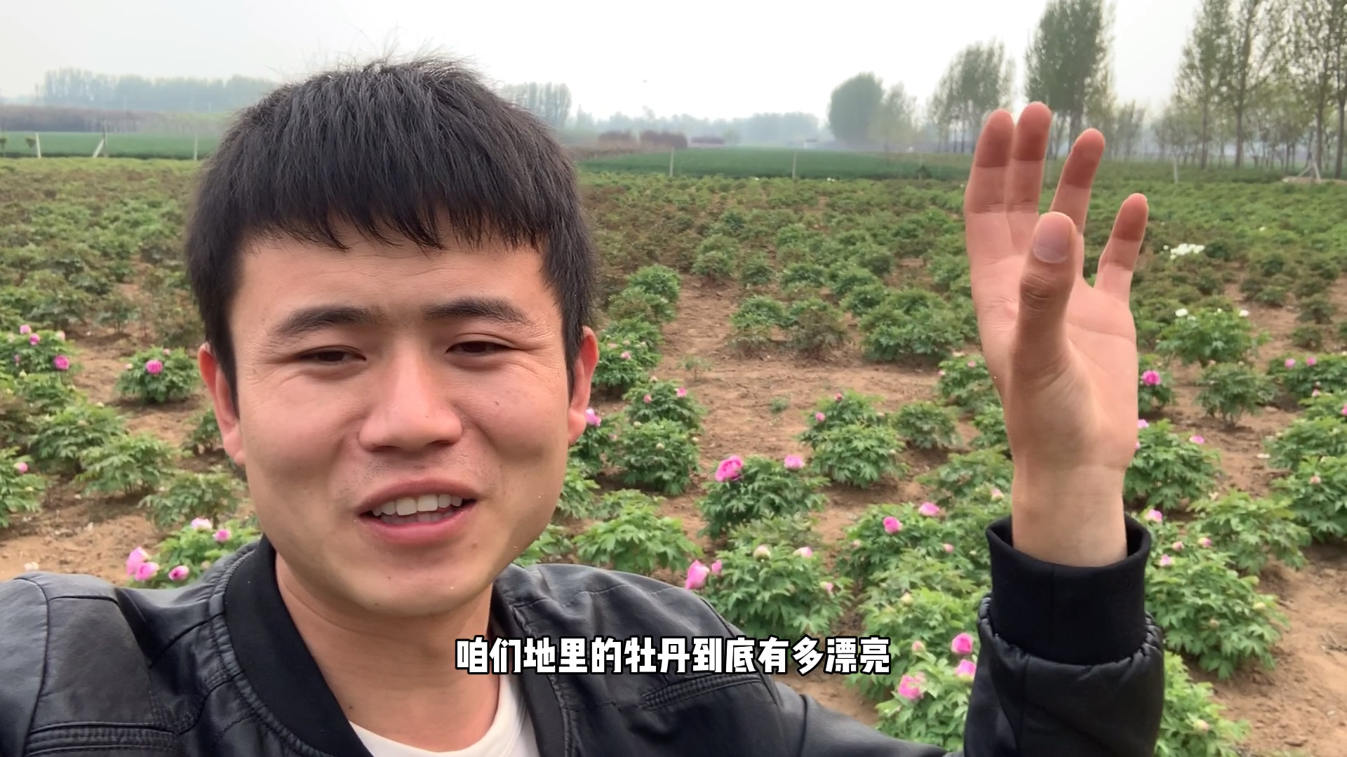 大田里的牡丹开啦,小赵发现了一颗白牡丹想把它给吃掉,太馋人啦